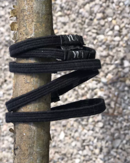 Hair elastics x5 Hair elastics x5