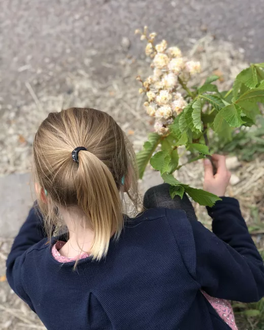 Hair elastics x5 Hair elastics x5