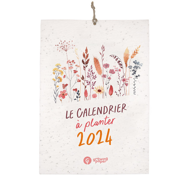 2024 Planting Calendar Explore Monthly Seasonal Veggies