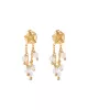 Fascinated Moonstone Gold Plated Earrings