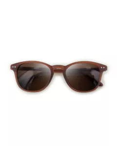 Sunglasses Enzo Sunglasses Enzo