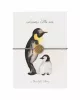 Carte postale Bijoux Pingouins
