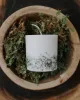 the MUNIO - Bougie à la cire de soja : MOSS