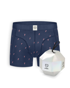 Boxer Candy Cane Box Boxer Candy Cane Box