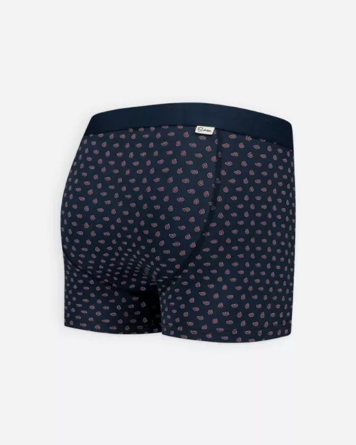 Boxer Shorts BLUE BIKES Boxer Shorts BLUE BIKES