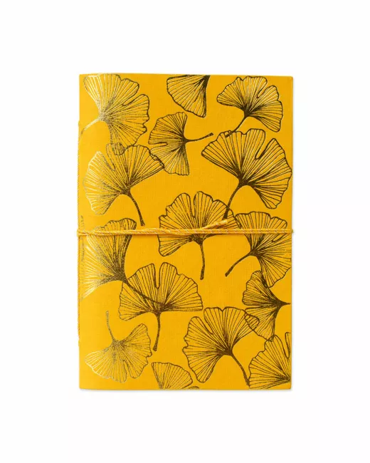 Sketchbook Dragonflies