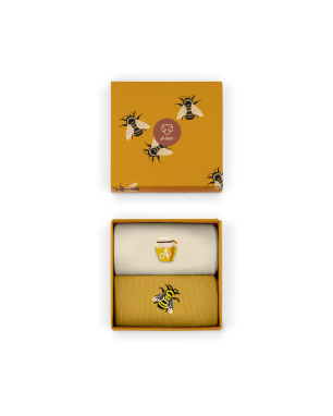 Doos met 2 paar BOB ROSS sokken Doos met 2 paar BOB ROSS sokken