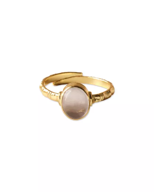 Certain Citrien Vergulde Ring