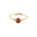 Faithful Carneool Vergulde Ring
