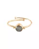Faithful Carneool Vergulde Ring