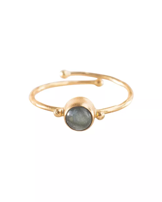 Faithful Carneool Vergulde Ring