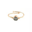 Faithful Labradoriet Vergulde Ring