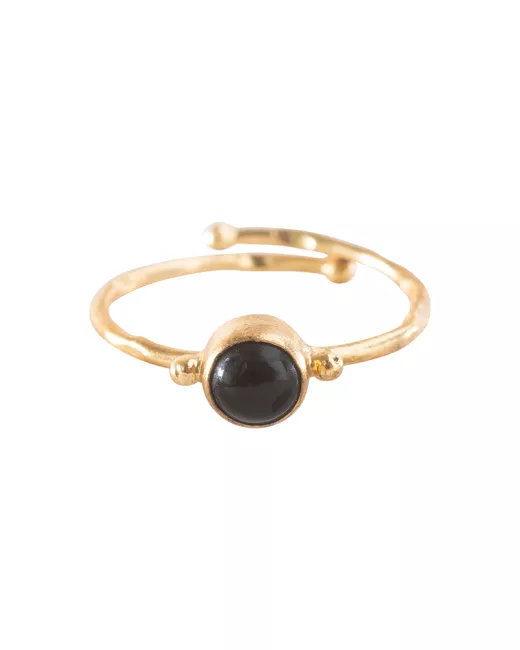Faithful Labradoriet Vergulde Ring