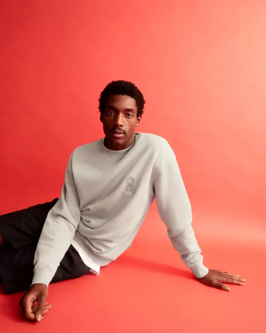 ARMEDANGELS - Sweat en coton bio EMAAL