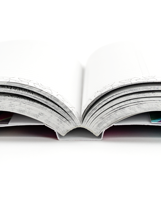 Agenda Journalier 2024 / 2025 – 365 JOURS