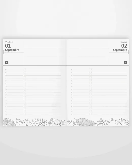 Agenda Journalier 2024 / 2025 – 365 JOURS