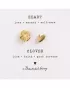 Broche Set Klavervier - Hart Verguld