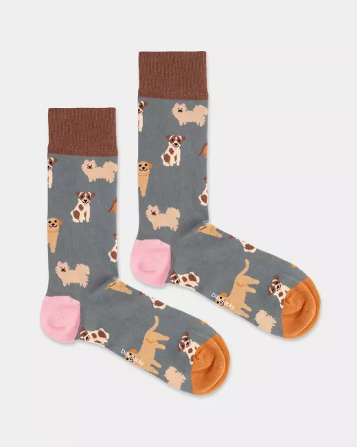DillySocks - Chaussettes colorées avec motif Doggy Dog