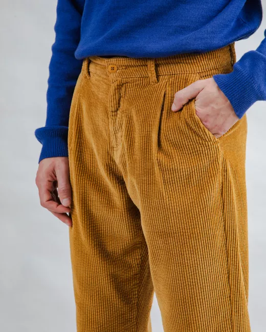 Geplooide broek van corduroy Geplooide broek van corduroy