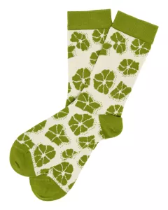 Chaussettes GOLDEN CYPRESS en coton bio Chaussettes GOLDEN CYPRESS en coton bio