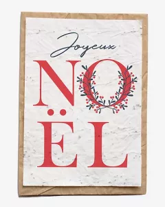 Bloeikaart - Joyeux Noël Bloeikaart - Joyeux Noël