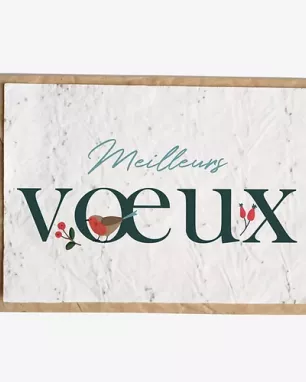 Growing paper – Carte ensemencée – Meilleurs voeux