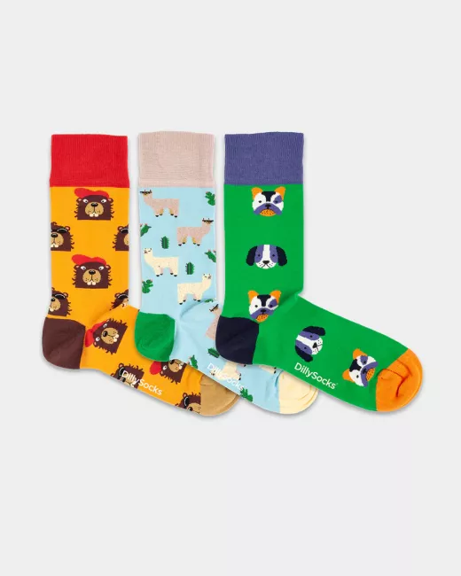 Doos met 3 paar paren Kleurrijke sokken met motief - Wonderful Christmas