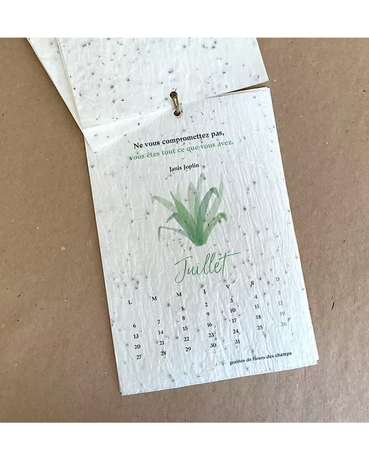 2025 Planting Calendar