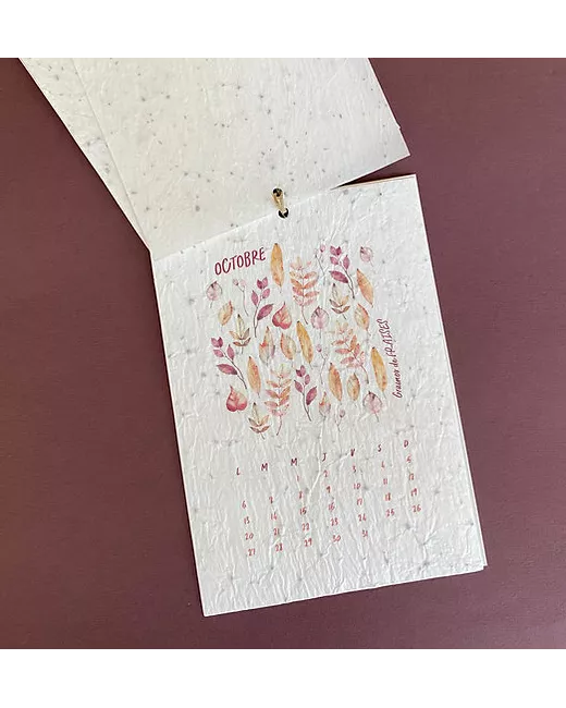 2025 Planting Calendar