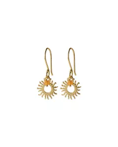 Generous Carnelian Gold Plated Earrings