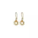 Generous Carnelian Gold Plated Earrings