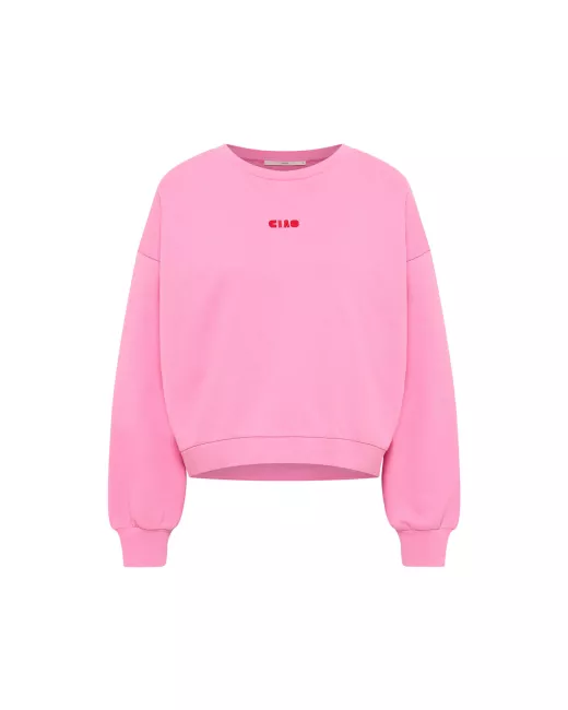 Sweatshirt of organic cotton