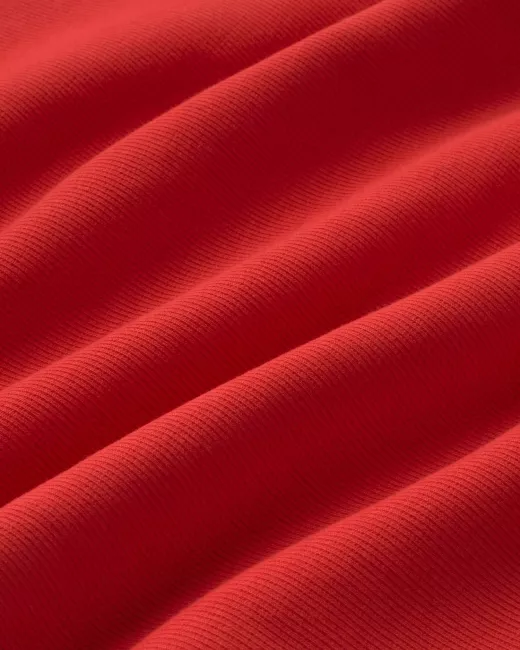 T-shirt ANIMAL MOTEL IDA