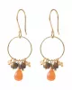 Flourish Carnelian mix earrings