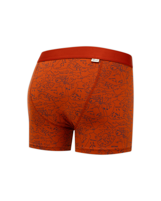 Boxershorts Blue Forrest