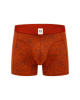 Boxer Shorts Blue Forrest