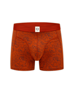 ADAM - Boxer Ginger Scoutmap