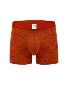 Boxer Shorts Blue Forrest