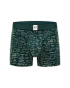 Boxer Green Maths Pro
