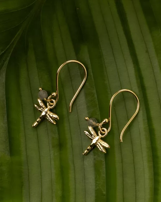 A Beautiful Story - Boucles d'oreilles Freedom Libellule Labradorite Plaqué Or