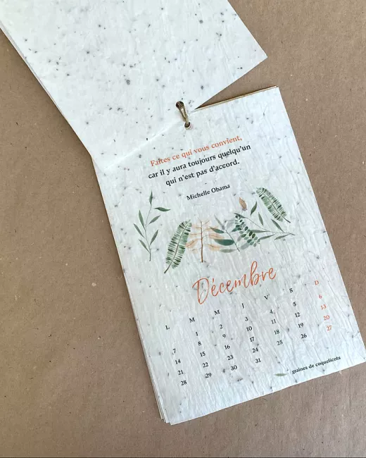 Plantkalender 2025