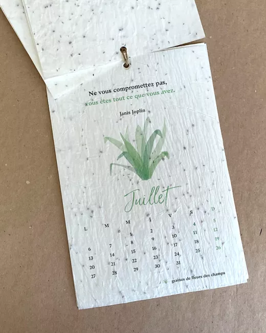Plantkalender 2025