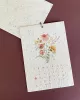 Plantkalender 2025