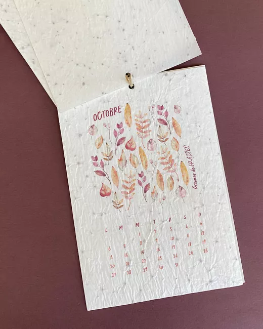 Plantkalender 2025
