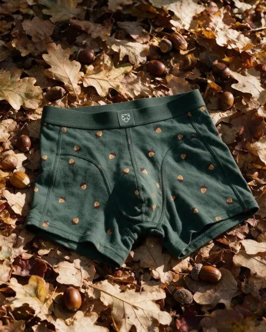 Boxershorts Navy Compass