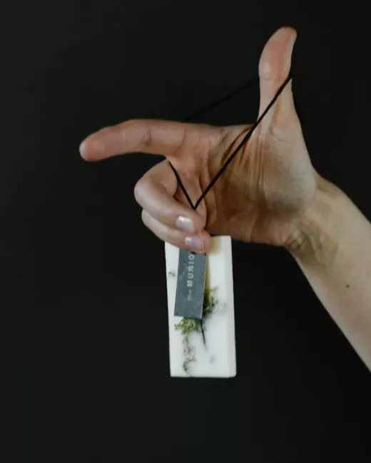 Wax bar freshener