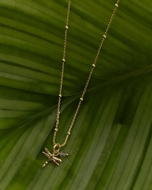 A Beautiful Story - Collier Instinct Libellule labradorite