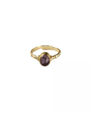 Certain Citrien Vergulde Ring