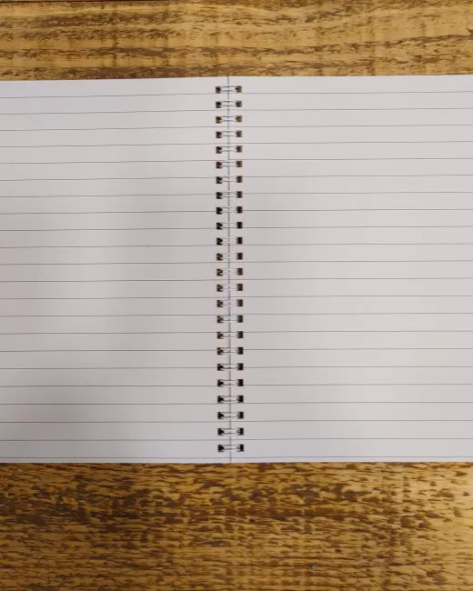 Pousse d’amour – Carnet de notes – Visage