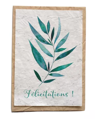 Growing paper – Carte ensemencée – Félicitations